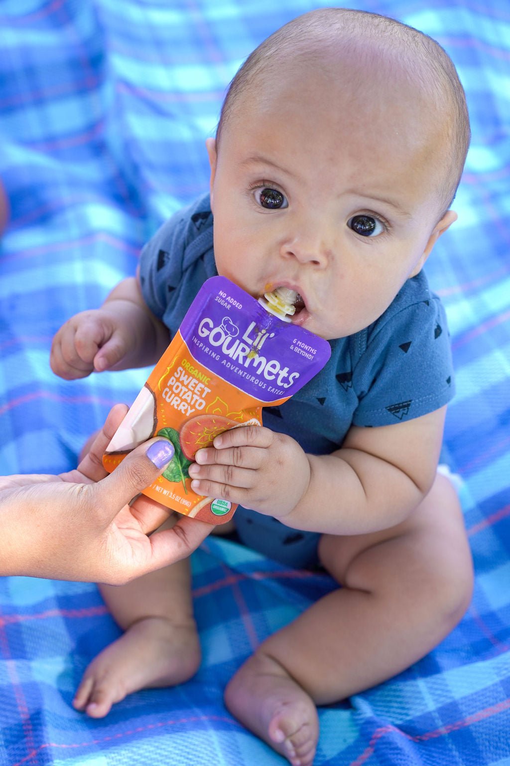 Dr. Rupa's handy First Foods Checklist - Lil' Gourmets