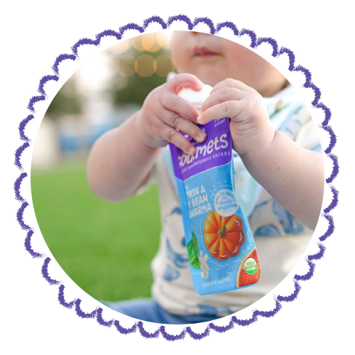 Lil' Gourmets Baby Pouches for Baby or Toddler
